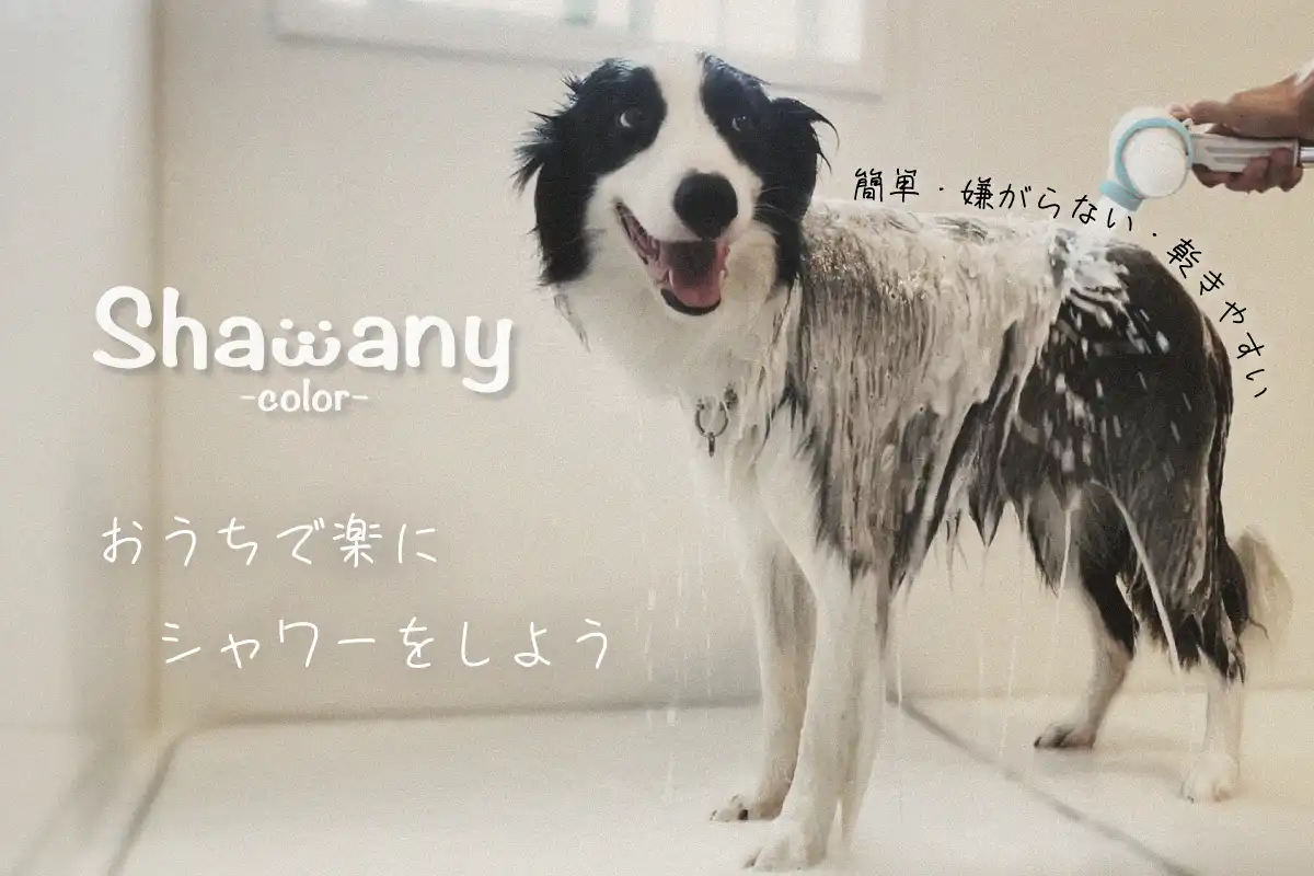 シャワニー カラー Shawany color おうちで楽にシャワーをしよう